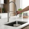 Pure.Sink Luxion Solid stainless steel professional kitchen faucet with flexible spout and 2 spray modes PLXFLEX-02
